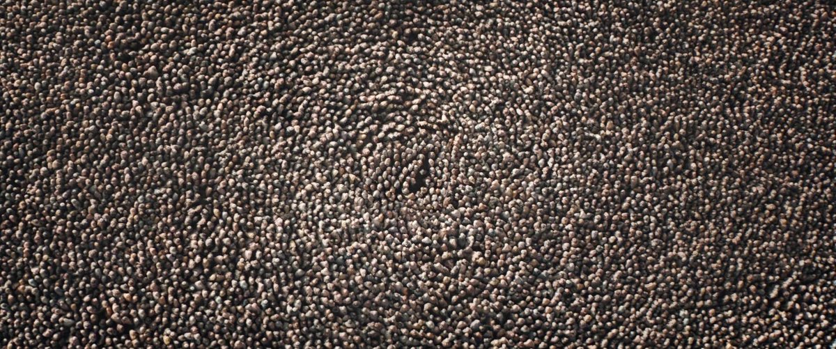 Johnny Sobczak tweet media