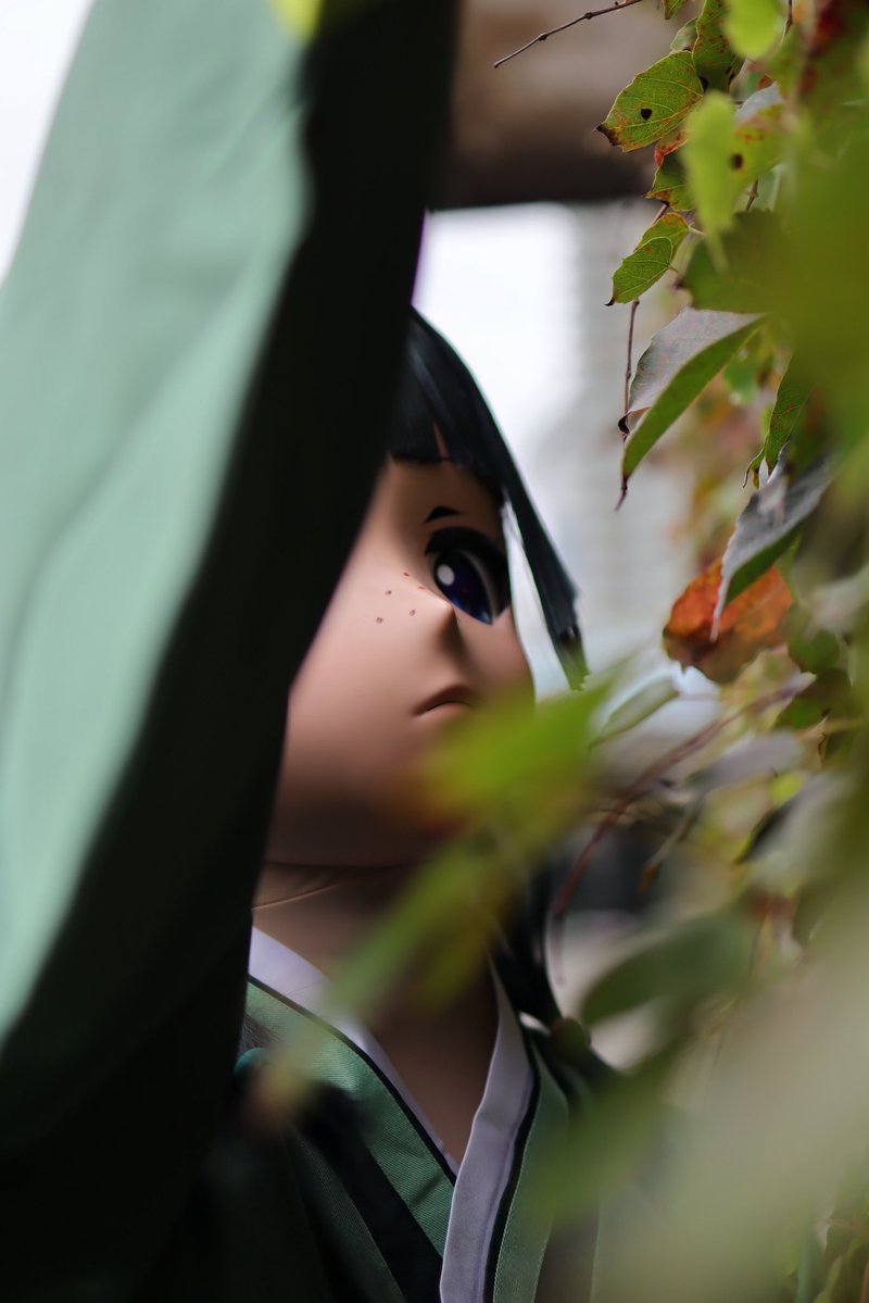 屘妹的大玩偶 tweet media