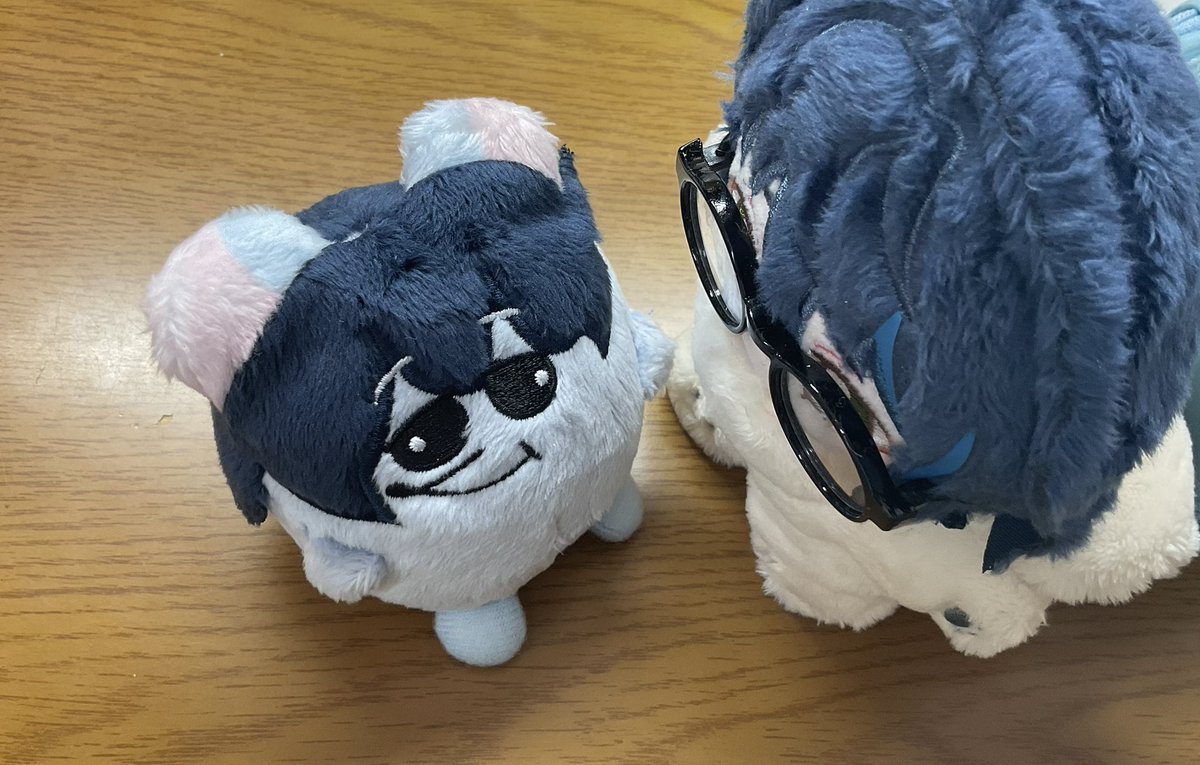 あるの知ってたから買わないぞって誓って昨日行ったのに、目があったら気づいたら買ってた…
しかも意外とかわいい