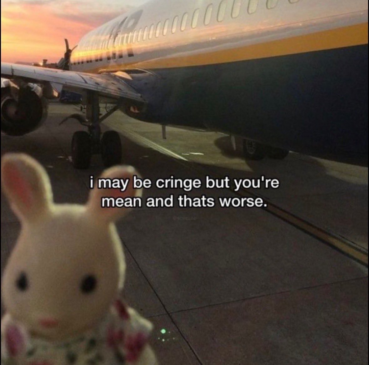 Alyssa Mayfield tweet media