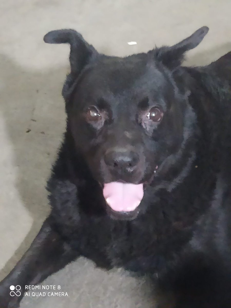 Jorge Tobar. Filósofo tweet media