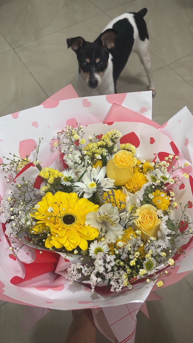 Faty Fatality tweet media