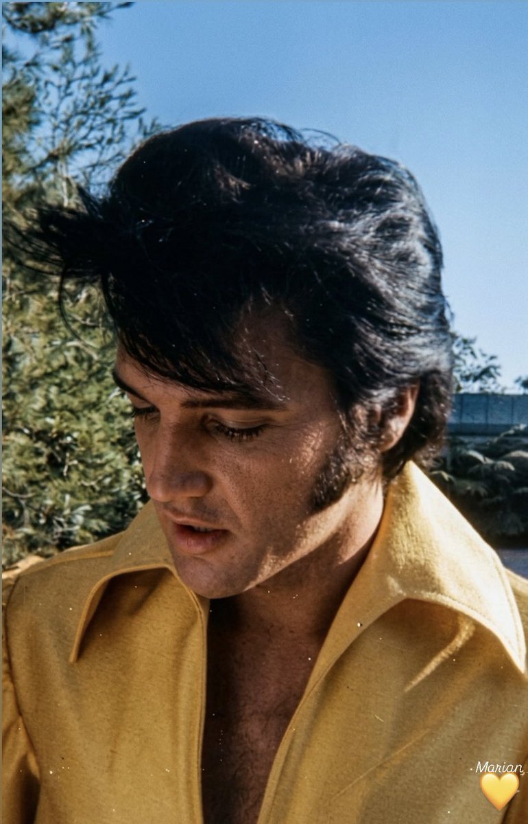 Mariana B. ∞ ∆ tweet media