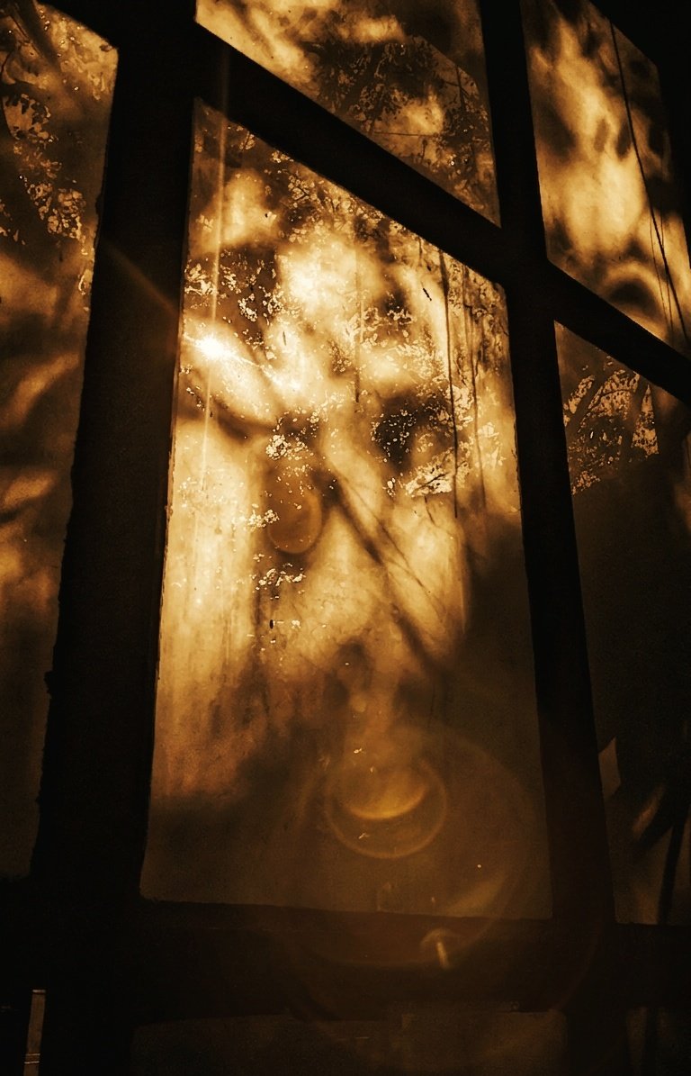 Bobby Roy tweet media