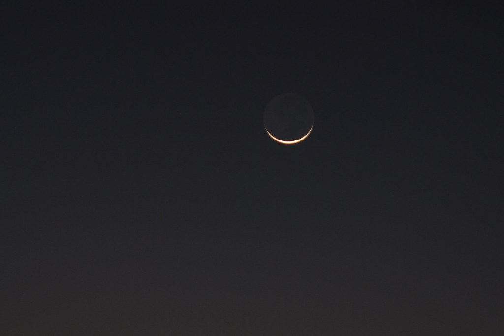 Luvienne tweet media