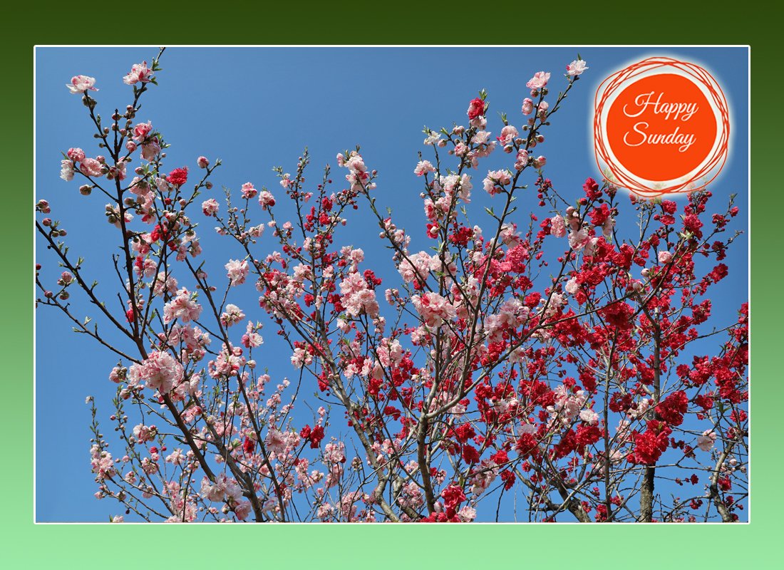 Hiro Kitsukawa tweet media