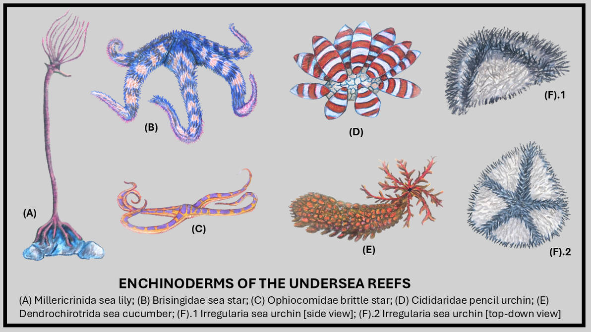 Master Of Weird Little Guys 🐬 tweet media