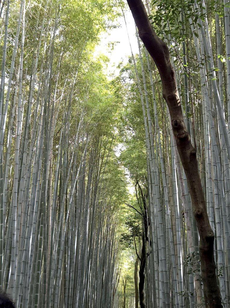 とぅーみ💉💉💉 tweet media