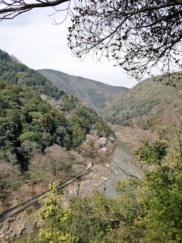 とぅーみ💉💉💉 tweet media