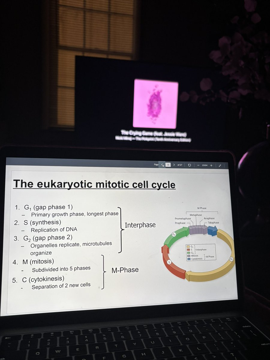 miss gemini🎀 tweet media