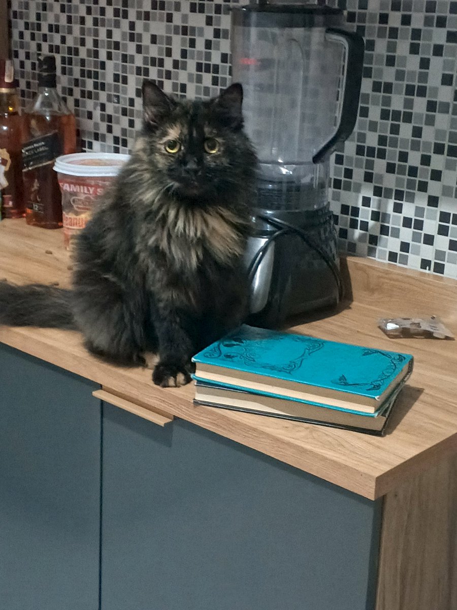 bea 𖹭 tweet media