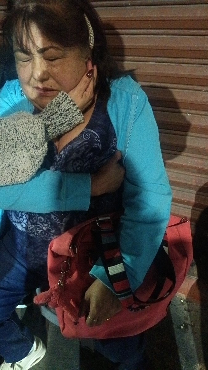 Tx Dn Gato Y Su Pandilla tweet media