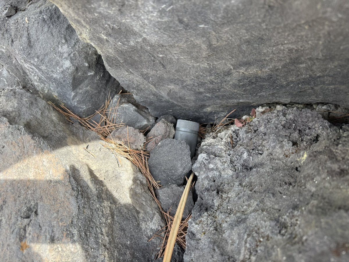 大戈日本旅游 tweet media