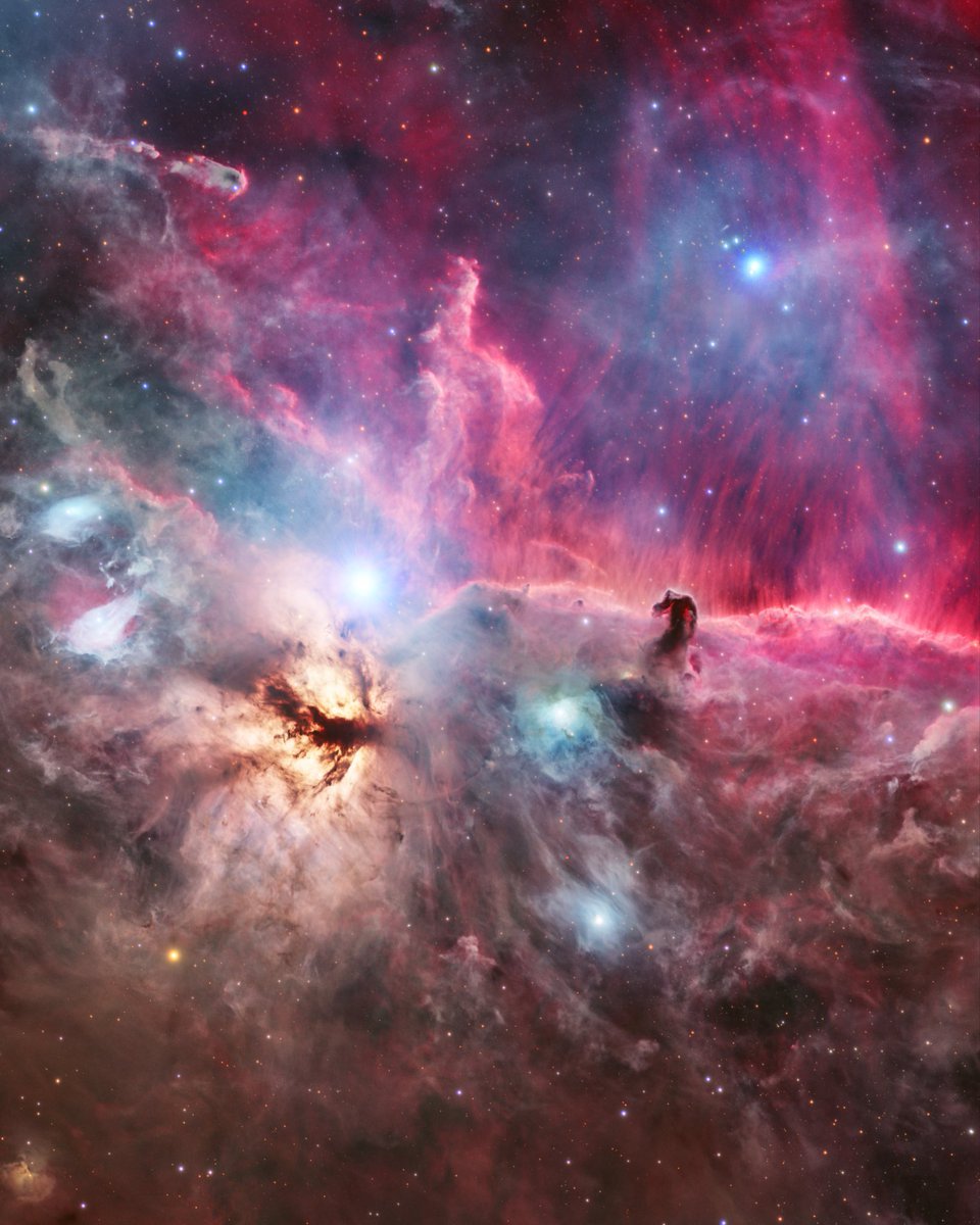 Julio Maiz tweet media