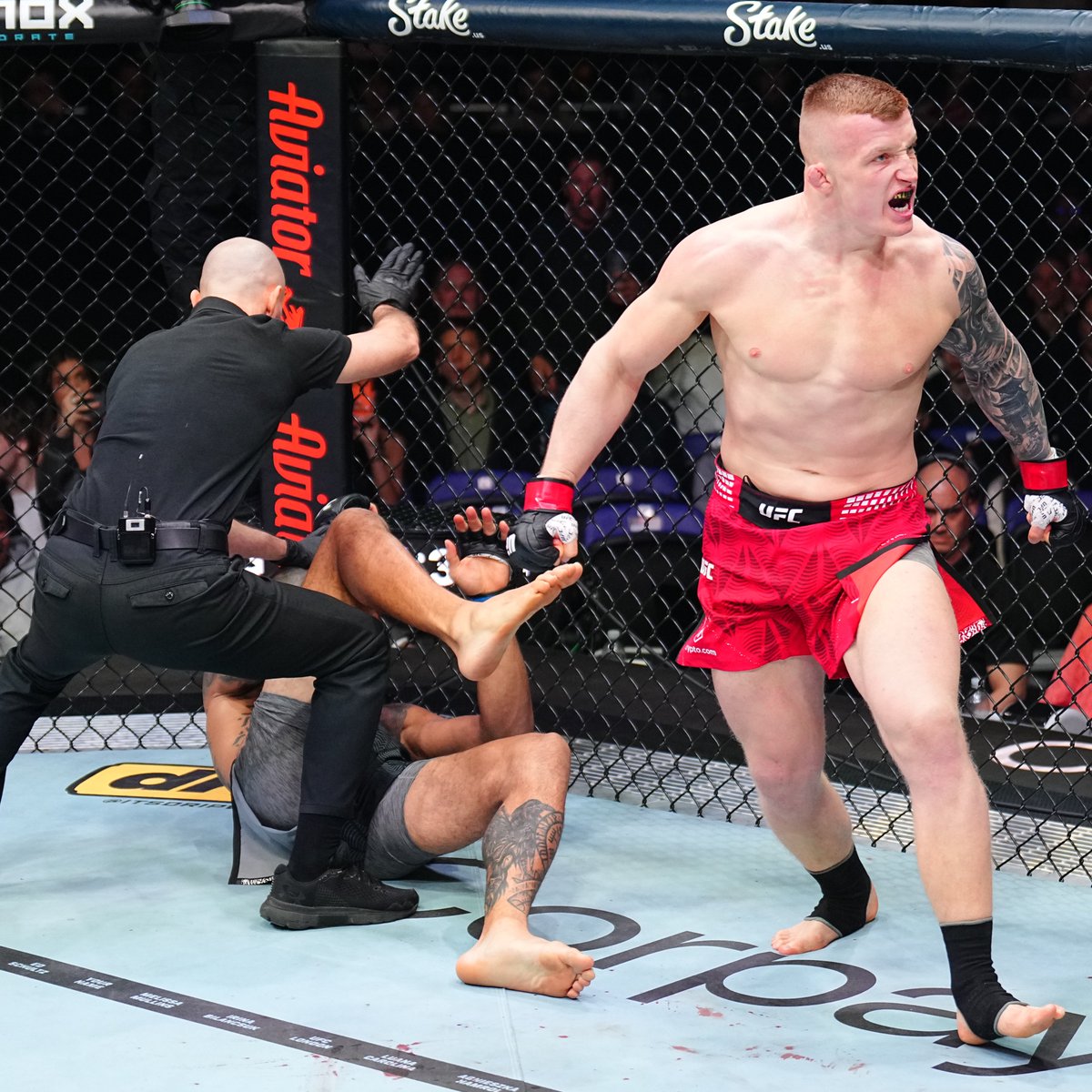 UFCEurope's tweet image. Polish Power is REAL 🇵🇱 🔥 #UFCLondon

@IwoBaraniewski is a KO machine!