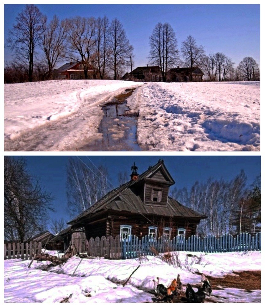 Сергей Лесник tweet media