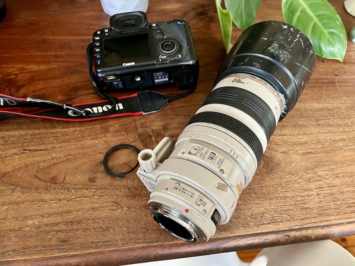 Nick Raschke tweet media