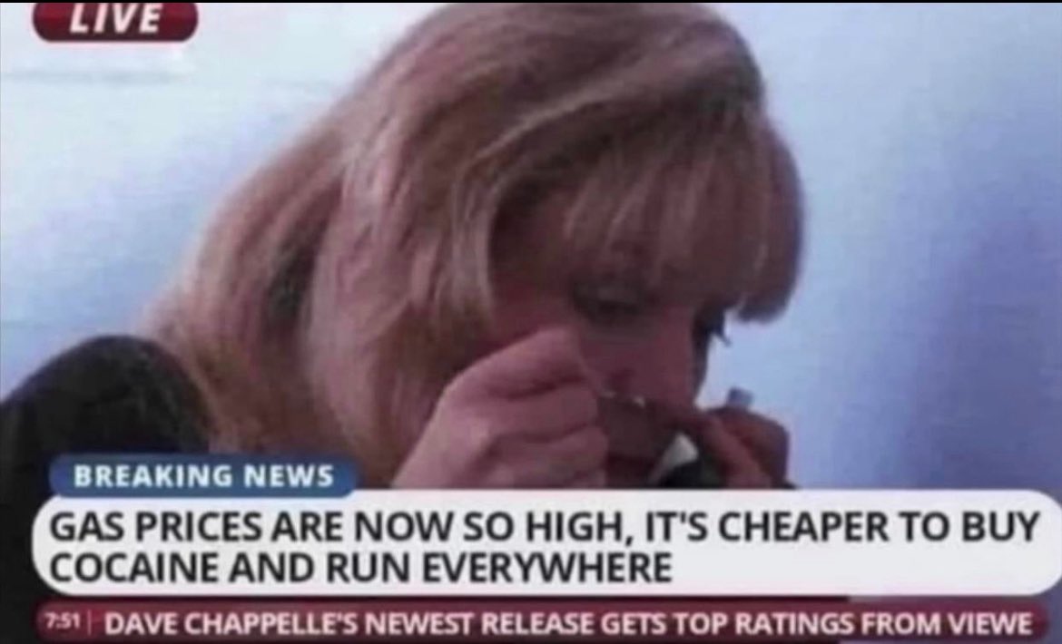 allison harvard burke tweet media