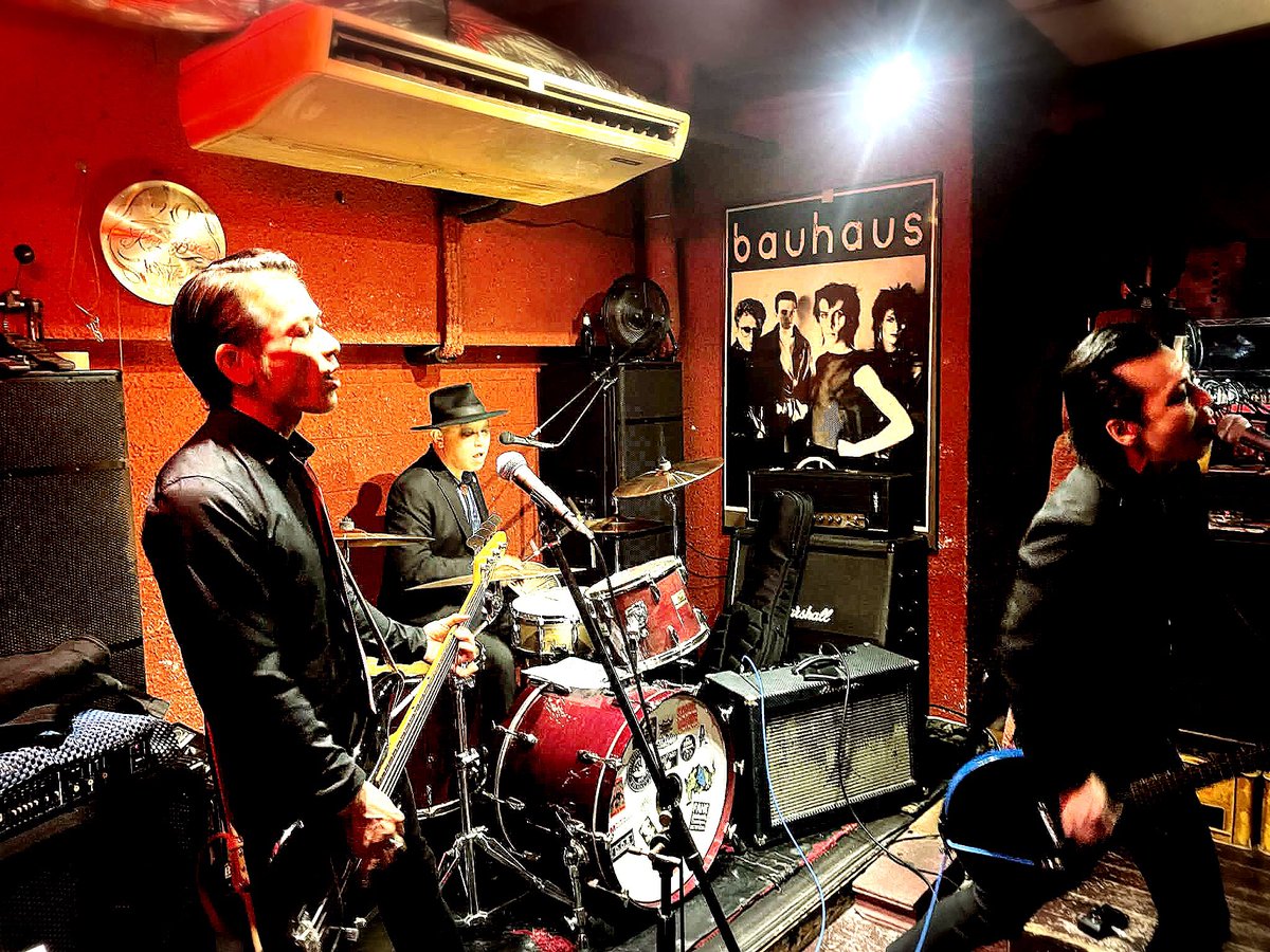 THE KOOL OPERATORS (クールオペレーターズ) tweet media