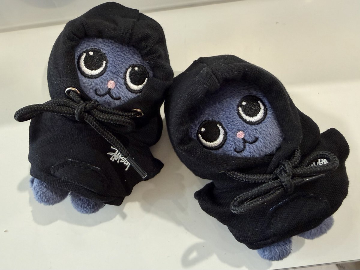 박규민 (상태 : 콩순무새) tweet media