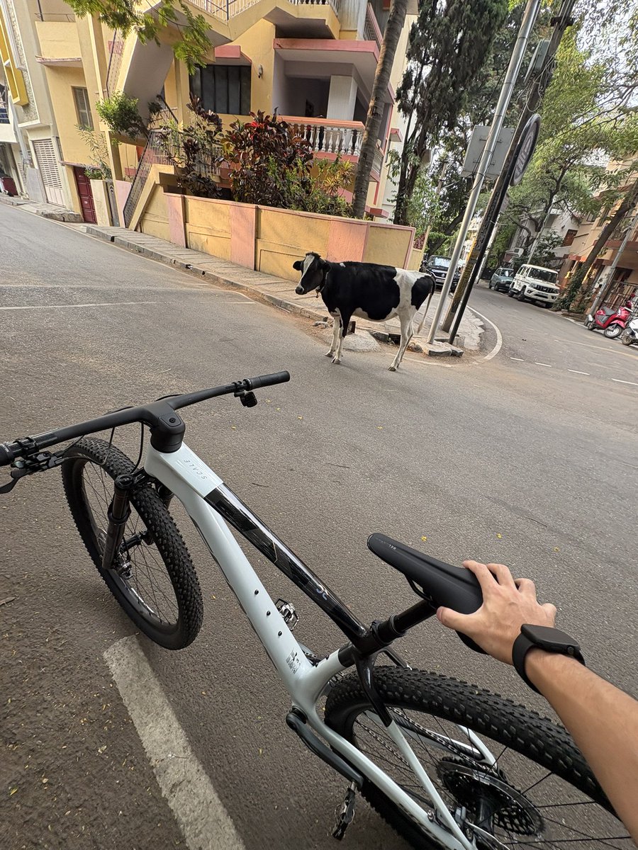 キラ✨キラ✨🇮🇳 インド単身ソルジャー🛺🛺🛺 tweet media