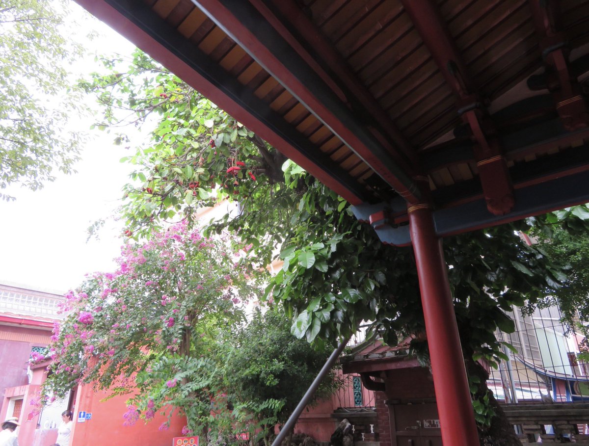 ぴ な。 tweet media