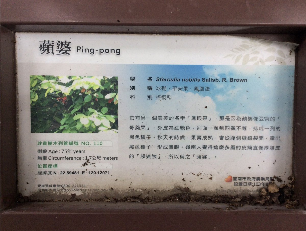 ぴ な。 tweet media