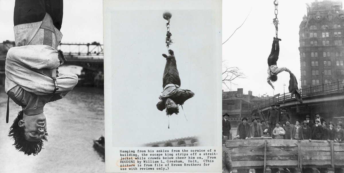 Timely Yidhari tweet media