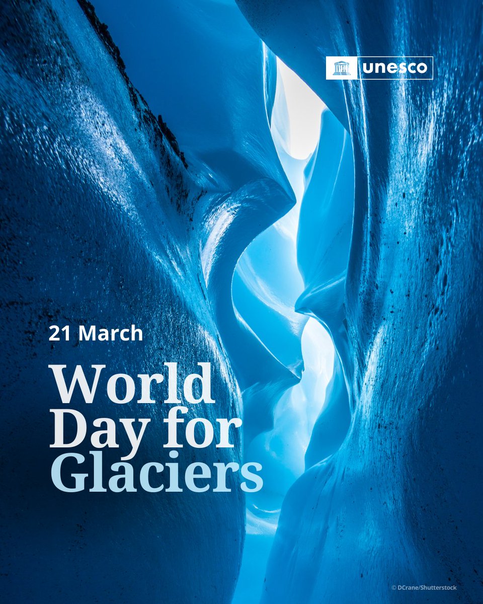 UN Global Compact tweet media