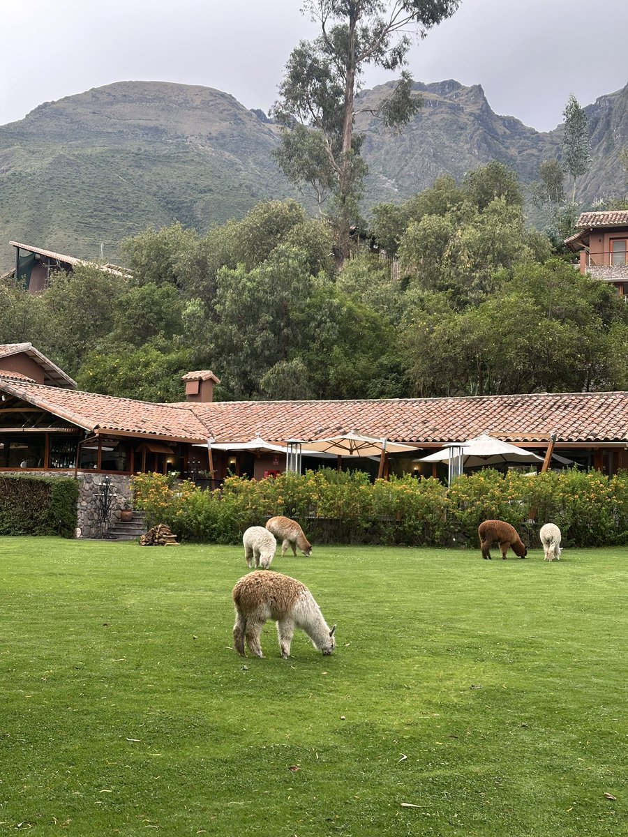 aura ☕️ tweet media