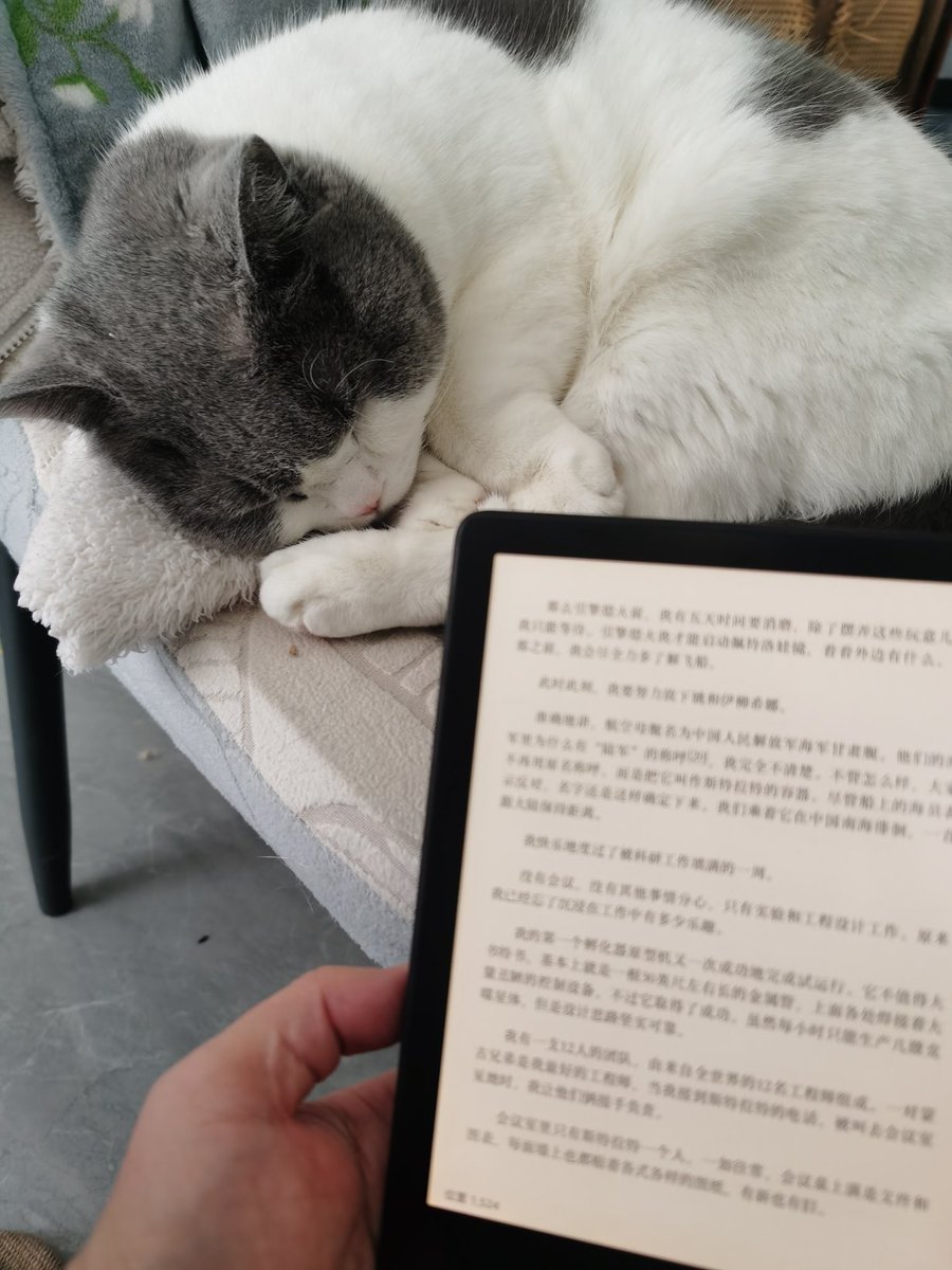 darklightzz tweet media