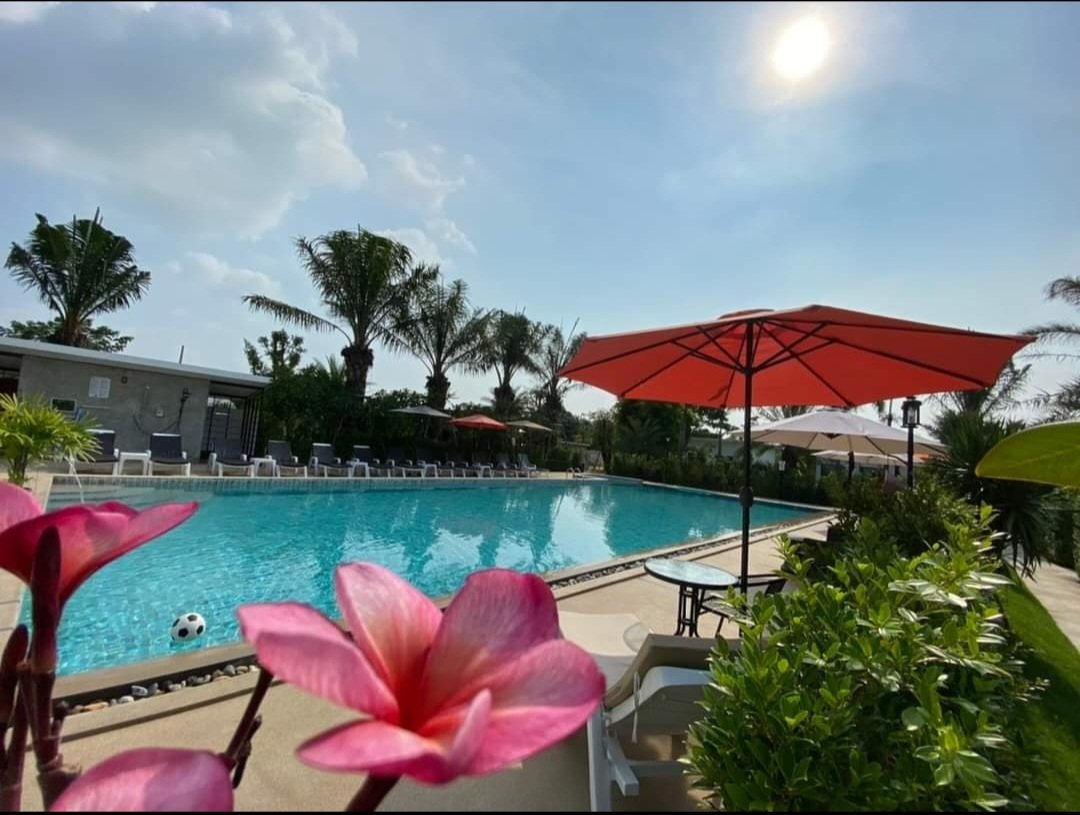 Naturist Vacation Club(Pattaya) tweet media