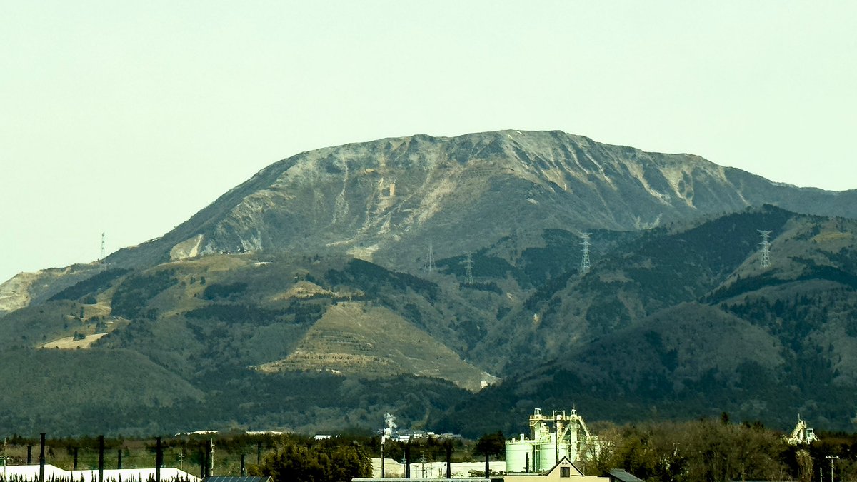 MIKI TSUNODA tweet media