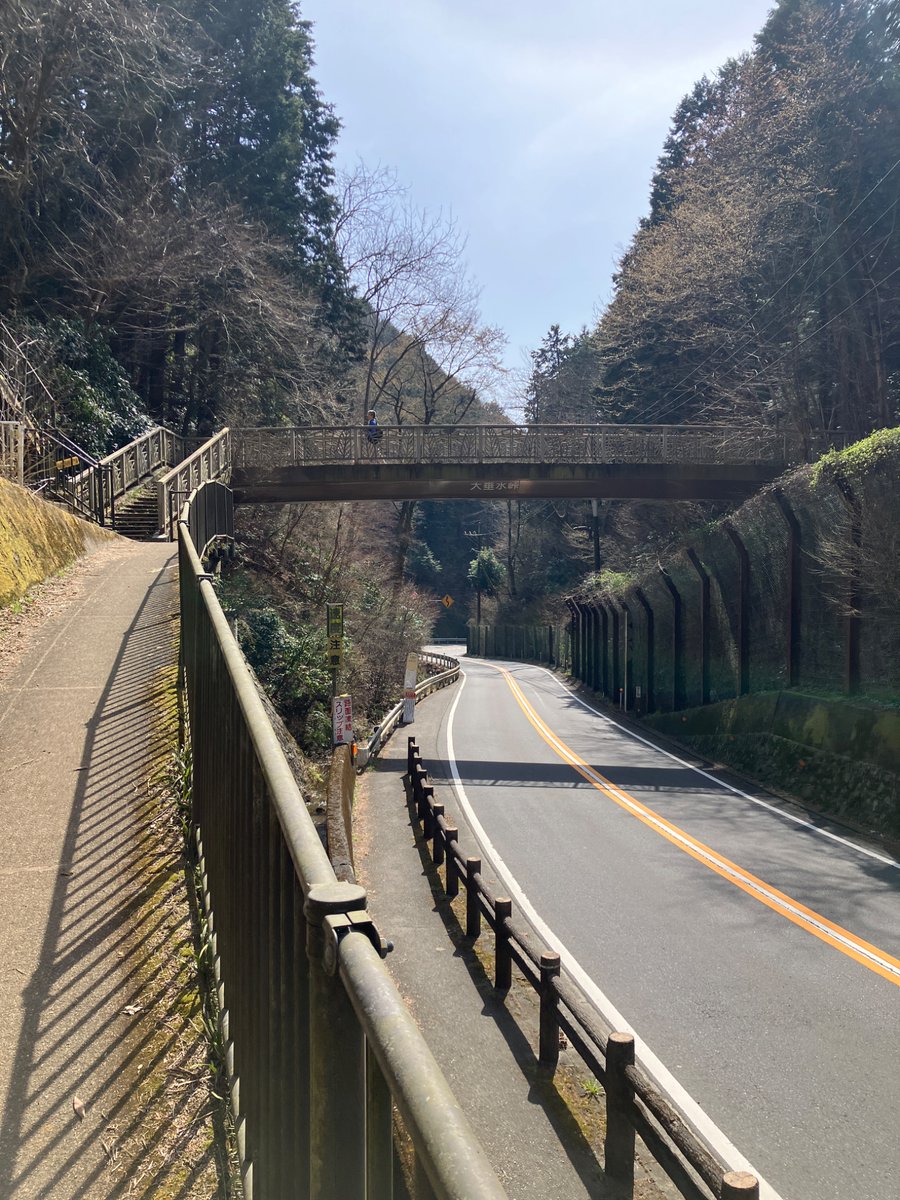 watti(わっち) tweet media