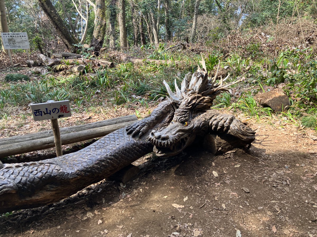 watti(わっち) tweet media