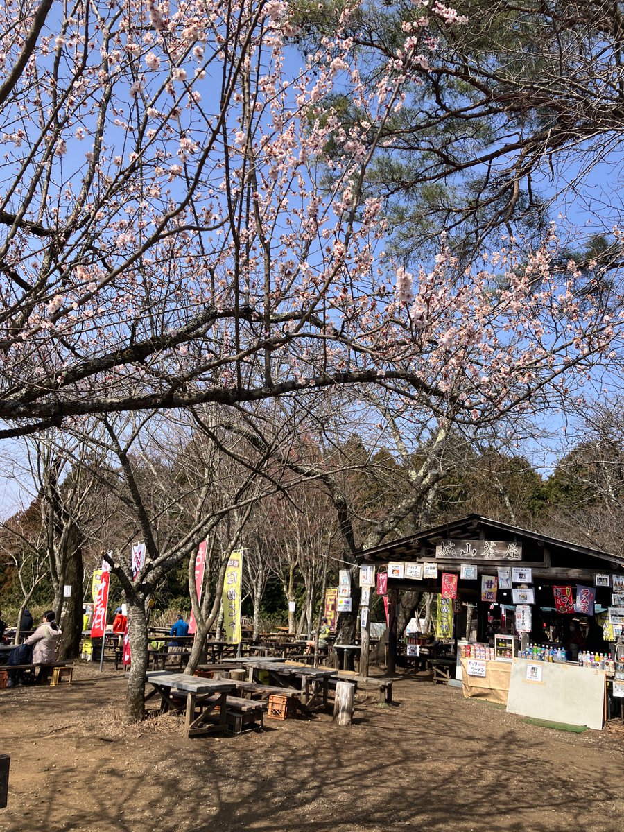 watti(わっち) tweet media