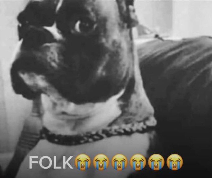 AwkwardVib3's tweet photo. @UnderdogNBA Nigga he said WHAT😭😭 https://t.co/6guaKnzdhY