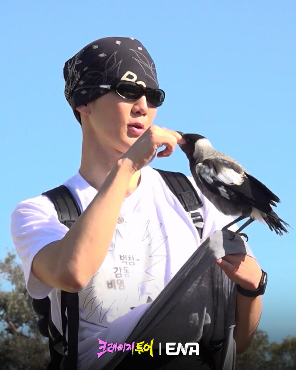 ENA_official tweet media