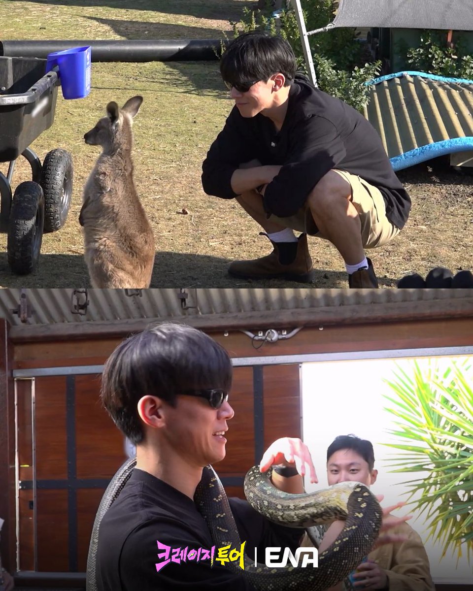 ENA_official tweet media