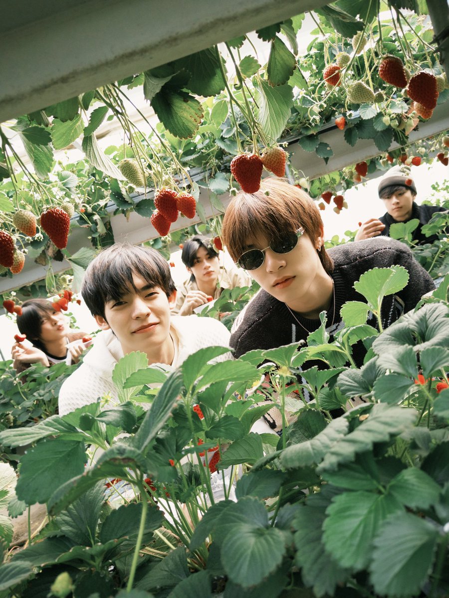 Klaryder🌈 tweet media