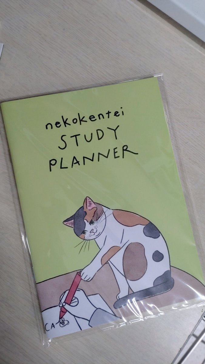 お試験
お土産もばっちりかわいこちゃん