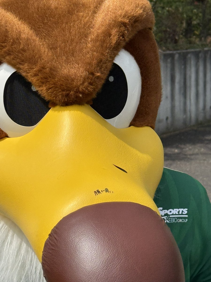 セイジョー tweet media