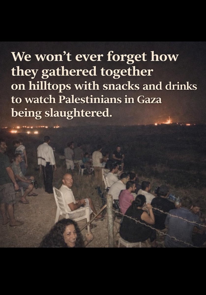 Dina Sulaeman tweet media