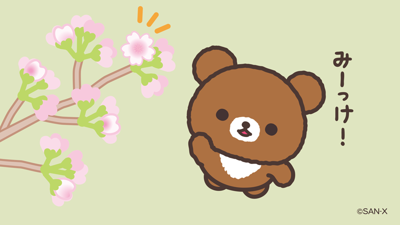 Post by チャイロイコグマ【公式】 on X: 春見つけた！🌸