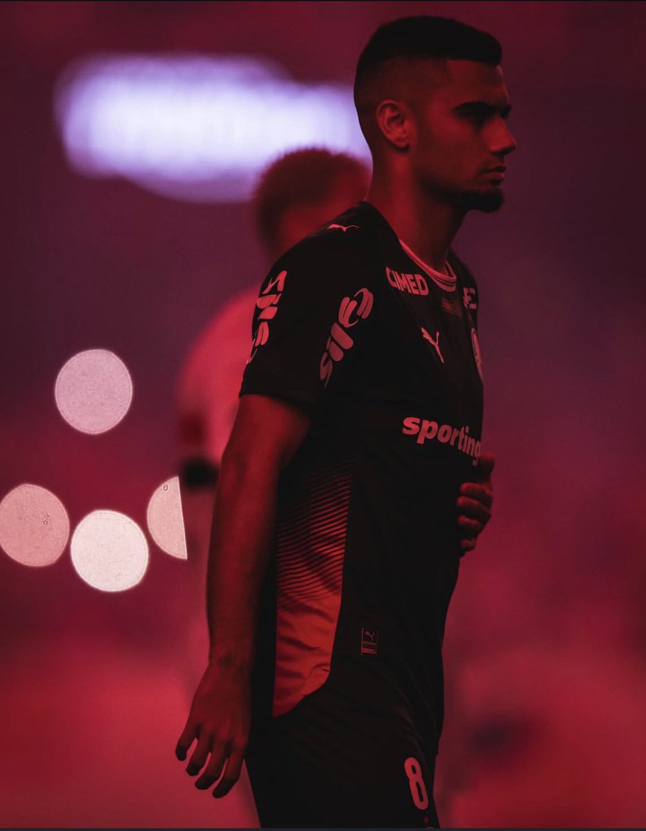 Mauricio Prado Brasil 🇧🇷 tweet media