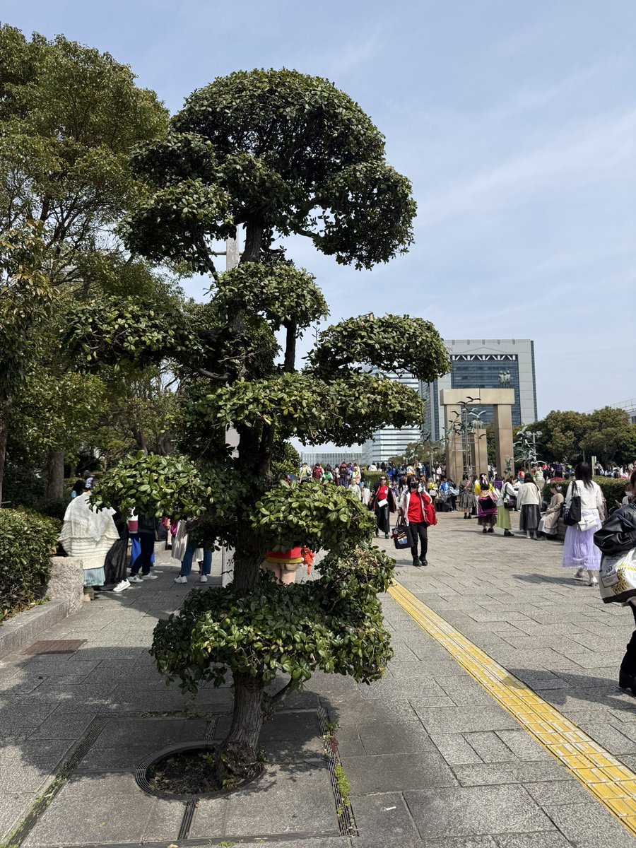 みっきゅん@お取引 tweet media