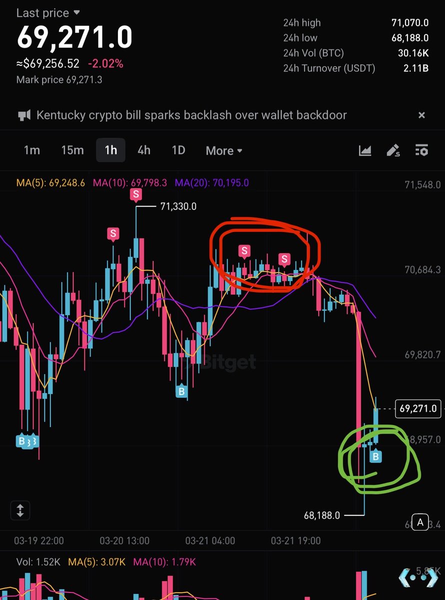 CryptoMo tweet media