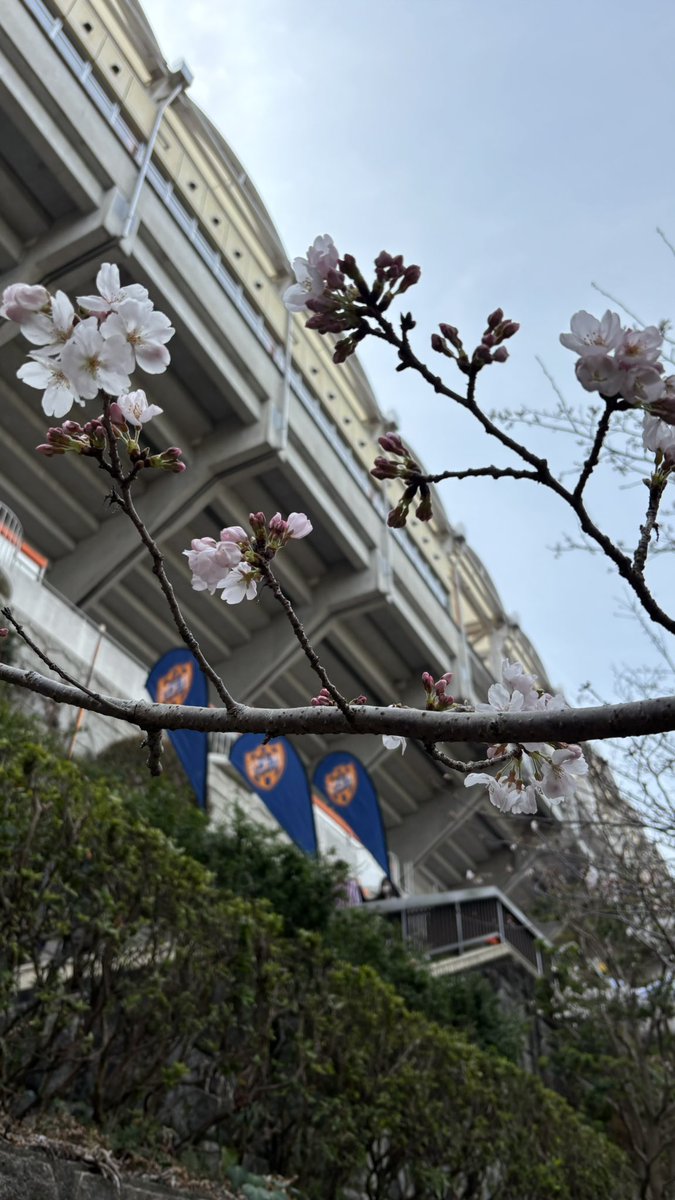 清水エスパルス応援番組 VIVA S-PULSE tweet media