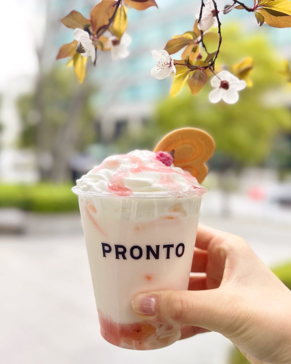 プロント tweet media