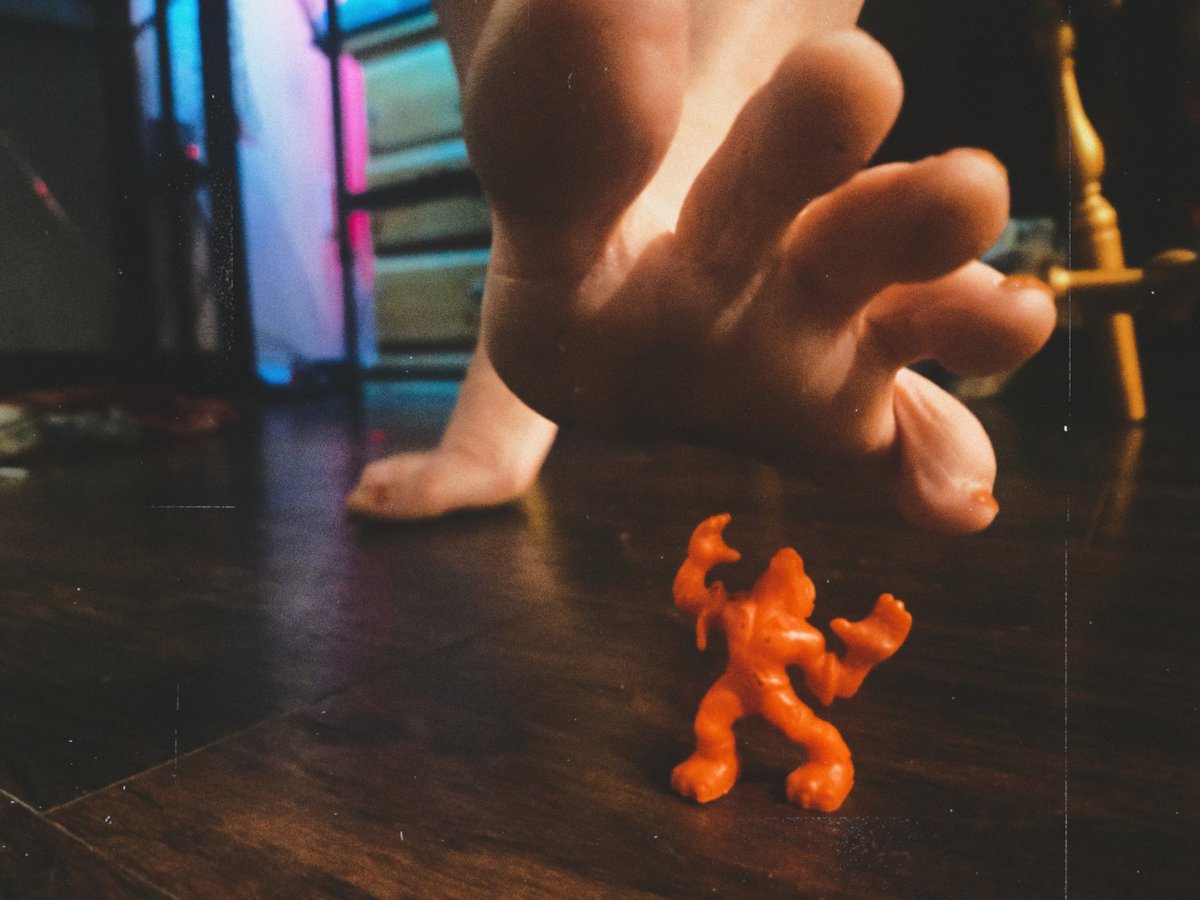 Eve Silver-Star BOOKING BOUNDCON & FETCON 2026 tweet media